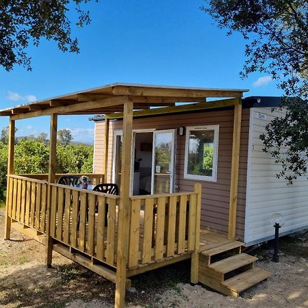 Su Canonigu Agriresort 토르톨리 외부 사진